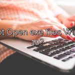 Can not Open exe files Windows 10?