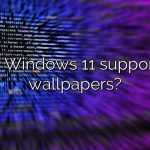 Does Windows 11 support GIF wallpapers?
