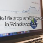 How do I fix app error 0xc00005 in Windows 11?