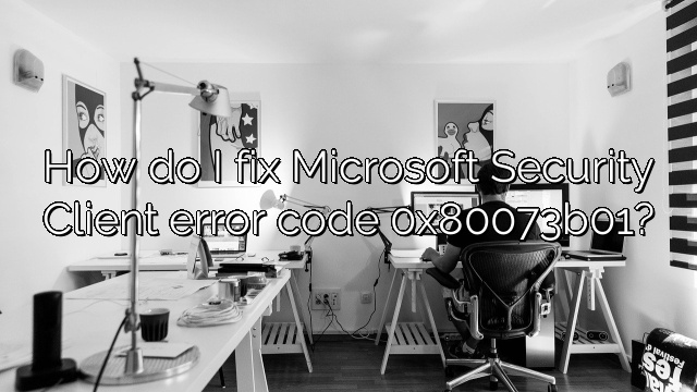 How do I fix Microsoft Security Client error code 0x80073b01?