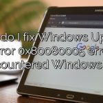 How do I fix Windows Update error 0x80080005 error encountered Windows 10?