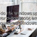 How do I fix Windows update error 0x80080005 error encountered Windows 10?