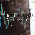 How do I install bash on Windows 11?
