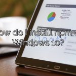 How do I install npm on Windows 10?