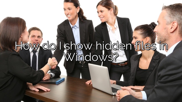 How do I show hidden files in Windows?