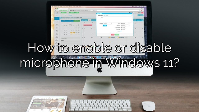 How to enable or disable microphone in Windows 11?