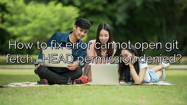 How to fix error cannot open git fetch_ HEAD permission denied?
