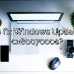 How to fix Windows Update error 0x8007000e?