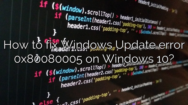 How to fix Windows Update error 0x80080005 on Windows 10?