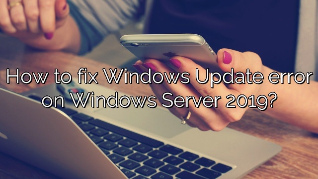 How to fix Windows Update error on Windows Server 2019?