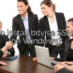 How to install bitvise SSH client on Windows?