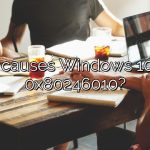 What causes Windows 10 error 0x80246010?