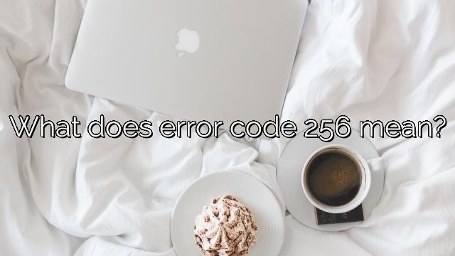 What does error code 256 mean?