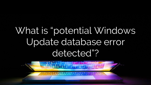 What is “potential Windows Update database error detected”?