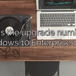 What is the upgrade number for Windows 10 Enterprise 1703?